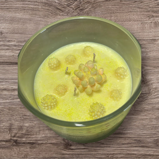 Candle ** ALCOHOL FREE ** PHTHALATE FREE ** 100% soy wax